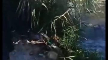 إجراءات رادعة للمخالفين.. ضبط تعديات بيئية على نهر النيل بقنا