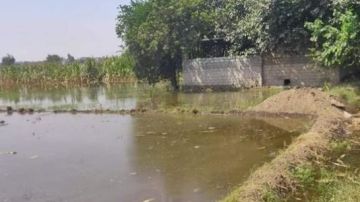 ما مدى احتمالية غرق أراضى طرح النهر؟.. تحذيرات عاجلة في الدلتا وخبير يوضح التفاصيل