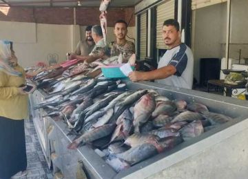 البوري بـ180 جنيها.. أسعار السمك والمأكولات البحرية بأسواق الإسكندرية اليوم 21 أكتوبر 2025 البوري بـ180 جنيها.. أسعار السمك والمأكولات البحرية بأسواق الإسكندرية اليوم 21 أكتوبر 2025