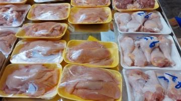 البانيه بـ190جنيها ..أسعار الفراخ اليوم الخميس البانيه بـ190جنيها ..أسعار الفراخ اليوم الخميس