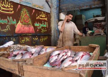 السبيط بـ350 جنيها.. أسعار الأسماك والمأكولات البحرية بسوق العبور اليوم الخميس