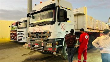 الهلال الأحمر: قافلة زاد العزة الـ61 تحمل 9200 طن مساعدات إلى غزة الهلال الأحمر: قافلة زاد العزة الـ61 تحمل 9200 طن مساعدات إلى غزة