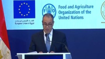 وزير الخارجية: لن نسمح بالإضرار بالشعب المصري وأمنه المائي ومصالحه الحيوية