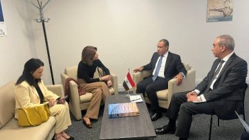 البرازيل تدخل على خط الدول الداعمة لخالد العناني مديرا لليونسكو