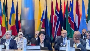 التخطيط: مبادرة لتوطين صناعة الدواء في أفريقيا وبدء التنفيذ التجريبي في 9 دول