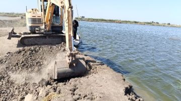 الزراعة: إزالة 20 حالة تعد وتنفيذ 13 ندوة إرشادية وتطهير 50 مسقى ومصرف الزراعة: إزالة 20 حالة تعد وتنفيذ 13 ندوة إرشادية وتطهير 50 مسقى ومصرف