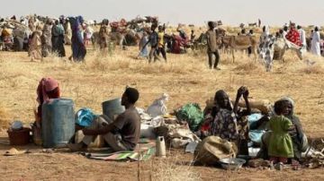 كارثة إنسانية في دارفور.. آلاف القتلى في الفاشر وتصاعد هجمات الرد السريع كارثة إنسانية في دارفور.. آلاف القتلى في الفاشر وتصاعد هجمات الرد السريع