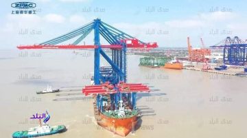 نائب الشيوخ: استثمارات ميرسك تعكس ثقة دولية متزايدة في الاستقرار الاقتصادي