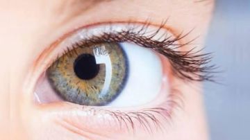 الصحة تصدر ضوابط محدثة لاستيراد قرنيات العيون لضمان أعلى معايير الجودة والأمان