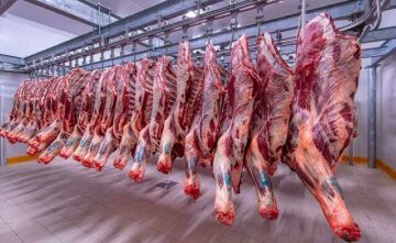 تراجع أسعار الدواجن واللحوم في مصر اليوم الاثنين تراجع أسعار الدواجن واللحوم في مصر اليوم الاثنين