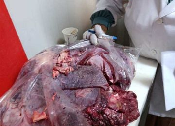 ضبط 170 كيلو لحوم غير صالحة للاستهلاك الآدمي بهايبر شهير ببورسعيد ضبط 170 كيلو لحوم غير صالحة للاستهلاك الآدمي بهايبر شهير ببورسعيد