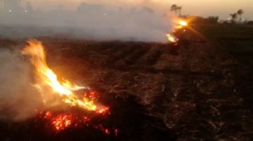 عقوبات رادعة تنتظرهم.. تحرير 8 محاضر حرق مكشوف للذزة بـ 3 مراكز بأسيوط