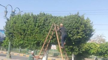 المنيا.. حملات للنظافة وإزالة الاشغالات لتحسين المظهر الحضاري المنيا.. حملات للنظافة وإزالة الاشغالات لتحسين المظهر الحضاري