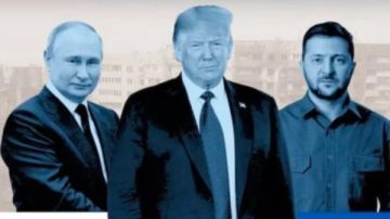 ترامب وبوتين على الخط الساخن قبل وصول زيلينسكي إلى البيت الأبيض ترامب وبوتين على الخط الساخن قبل وصول زيلينسكي إلى البيت الأبيض