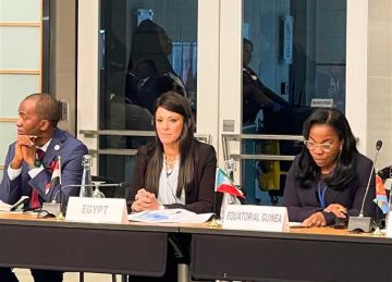 وزيرة التخطيط: أفريقيا تستورد أكثر من 90 من واردات اللقاحات والأدوية وزيرة التخطيط: أفريقيا تستورد أكثر من 90 من واردات اللقاحات والأدوية