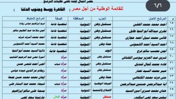 الجزار والقصير أبرزهم.. ننشر أسماء القائمة الوطنية عن القاهرة ووسط وجنوب الدلتا