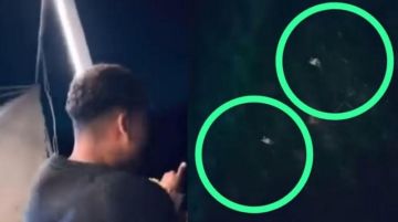 الداخلية تتحرك لتحديد هوية المتورطين في واقعة القطة والنيل  الداخلية تتحرك لتحديد هوية المتورطين في واقعة القطة والنيل