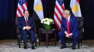 هل تؤدي خطة ترامب إلى سلام دائم في الشرق الأوسط؟