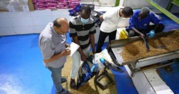 وزارة العمل: تحرير 6185 محضرا خاصا بتراخيص عمل الأجانب خلال 22 يوما فقط