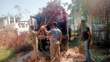 استمرار أعمال تطوير ورفع كفاءة مقابر بورسعيد القديمة صور