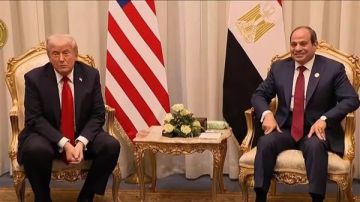 سياسية أمريكية لصدى البلد: وسام النيل يكرس زعامة مصر..والاستقرار يبدأ من القاهرة