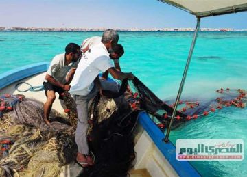 ملاحقة شباك الموت .. ضبط 5 مراكب صيد و2 كم شباك و3 بنادق في حملات لمحميات البحر الأحمر ملاحقة شباك الموت .. ضبط 5 مراكب صيد و2 كم شباك و3 بنادق في حملات لمحميات البحر الأحمر