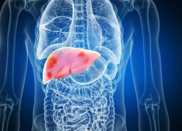 خطر يتكرر يوميا.. 7 أطعمة شائعة تتلف الكبد خطر يتكرر يوميا.. 7 أطعمة شائعة تتلف الكبد