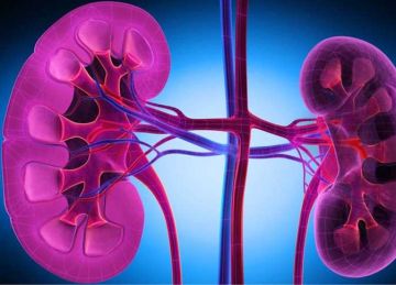  عانت منه سيلينا جوميز .. ما هو التهاب الكلية الذئبي وأعراضه؟