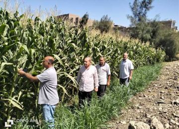 محافظ أسيوط يبحث مع المنتجين وممثلي التنمية الريفية فرص الاستثمار الزراعي ودعم المشروعات محافظ أسيوط يبحث مع المنتجين وممثلي التنمية الريفية فرص الاستثمار الزراعي ودعم المشروعات