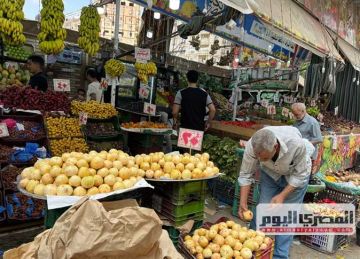 البرتقال بـ20 جنيها.. أسعار الفاكهة في أسواق الإسكندرية اليوم السبت 11 أكتوبر 2025