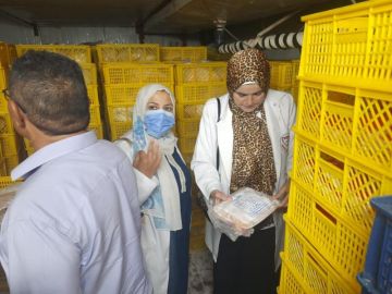 الزراعة: ضبط أكثر من 224 طن لحوم ودواجن وأسماك وتحرير 466 محضرا