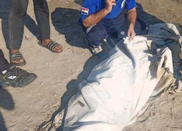 كشف لغز مقتل مقاول بكفر الشيخ.. خلافات مالية وراء الجريمة كشف لغز مقتل مقاول بكفر الشيخ.. خلافات مالية وراء الجريمة