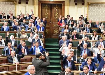 نائبة عن الحكومة: تتصرف ضد رسالة الرئيس عن الإجراءات الجنائية .. وماشيين عكس النسق بشكل غريب جدا