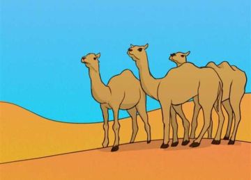  5 استراحة .. اعثر على الخطأ في 15 ثانية