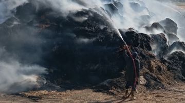 6 سيارات إطفاء تشارك في إخماد حريق شونة قش أرز بكفر الشيخ صور