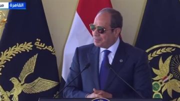 السيسي: مصر مستمرة في جهودها الرامية للتوصل إلى اتفاق لوقف النار في غزة