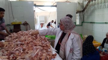 بيطري الشرقية يضبط 15 طن دواجن مجمدة مجهولة المصدر ببلبيس بيطري الشرقية يضبط 15 طن دواجن مجمدة مجهولة المصدر ببلبيس