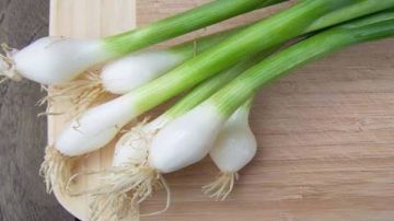 فوائد مذهلة لتناول البصل الأخضر صباحا.. يقوي المناعة ويمنحك طاقة لليوم كله