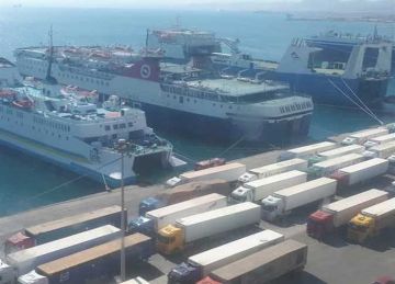 وصول 1470 رأس عجول حية وتصدير 18 ألف طن فوسفات بميناء سفاجا وصول 1470 رأس عجول حية وتصدير 18 ألف طن فوسفات بميناء سفاجا