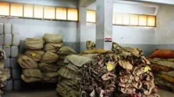 استعدادا لموسم السيول.. جولة ميدانية لوكيل التضامن الاجتماعى بأسوان استعدادا لموسم السيول.. جولة ميدانية لوكيل التضامن الاجتماعى بأسوان