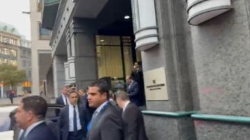 استقبال حاشد وزغاريد مصرية في بروكسل احتفاء بالرئيس السيسي فيديو