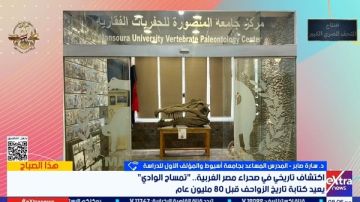 اكتشاف هيكل تمساح ضخم من فصيلة الديناصورات في الصحراء الغربية اكتشاف هيكل تمساح ضخم من فصيلة الديناصورات في الصحراء الغربية