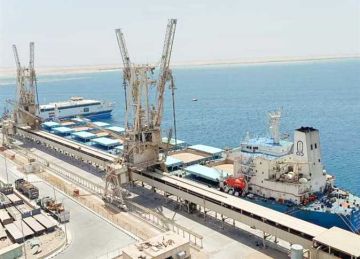  ميناء الصيادين .. رئة جديدة للثروة السمكية فى سفاجا