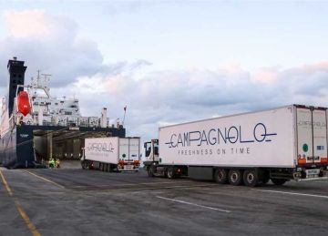 ميناء دمياط يستقبل 26 سفينة متنوعة