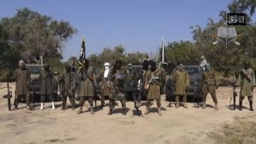 الجيش النيجيري يقتل نحو 50 مسلحا من جماعة بوكو حرام الجيش النيجيري يقتل نحو 50 مسلحا من جماعة بوكو حرام