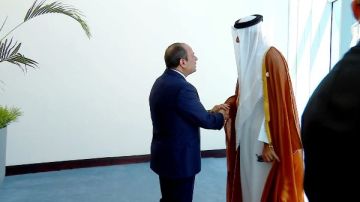 لحظة استقبال الرئيس السيسي قادة العالم.. صور