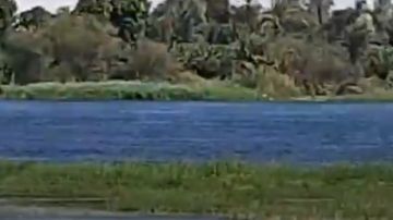 محافظ قنا: منسوب النيل مطمئن ونطالب بإخلاء أراضى طرح النيل.. صور