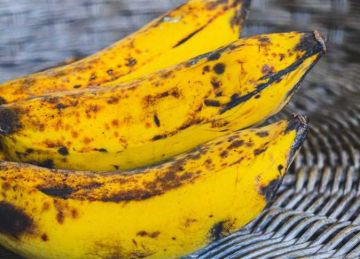 الموز بـ40 جنيه.. أسعار الفاكهة اليوم الثلاثاء 28 أكتوبر 2025 في مطروح