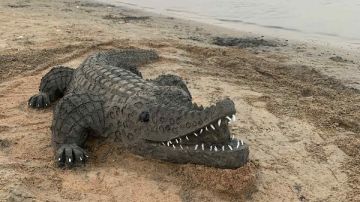 بعد ظهور تمساح في الشارع.. كيف يحظر القانون حيازة الحيوانات الخطرة؟ بعد ظهور تمساح في الشارع.. كيف يحظر القانون حيازة الحيوانات الخطرة؟