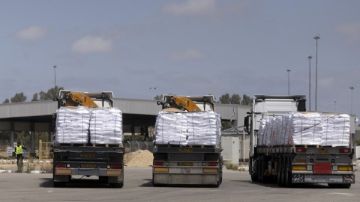 تحرك قافلة المساعدات الإنسانية الـ 48 من مصر إلى قطاع غزة تحرك قافلة المساعدات الإنسانية الـ 48 من مصر إلى قطاع غزة